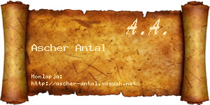 Ascher Antal névjegykártya