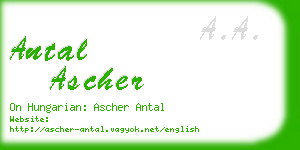 antal ascher business card